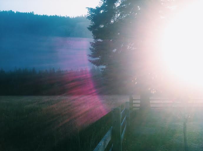 Processed with VSCOcam with c1 preset