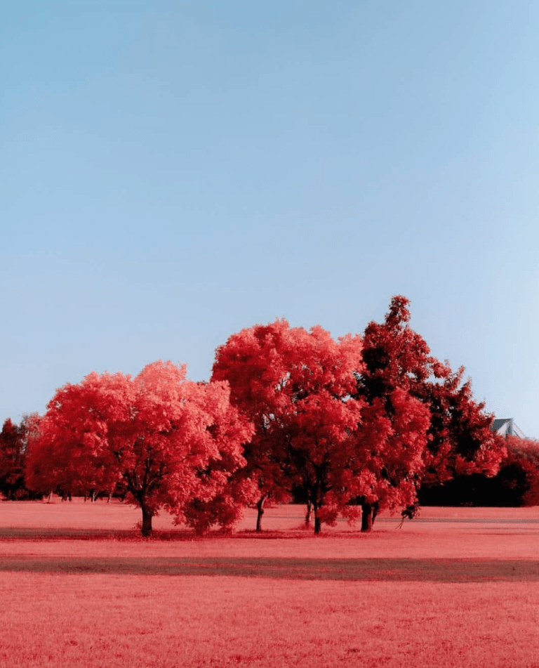 Screen Shot 2018-05-28 at 9.46.41 AM