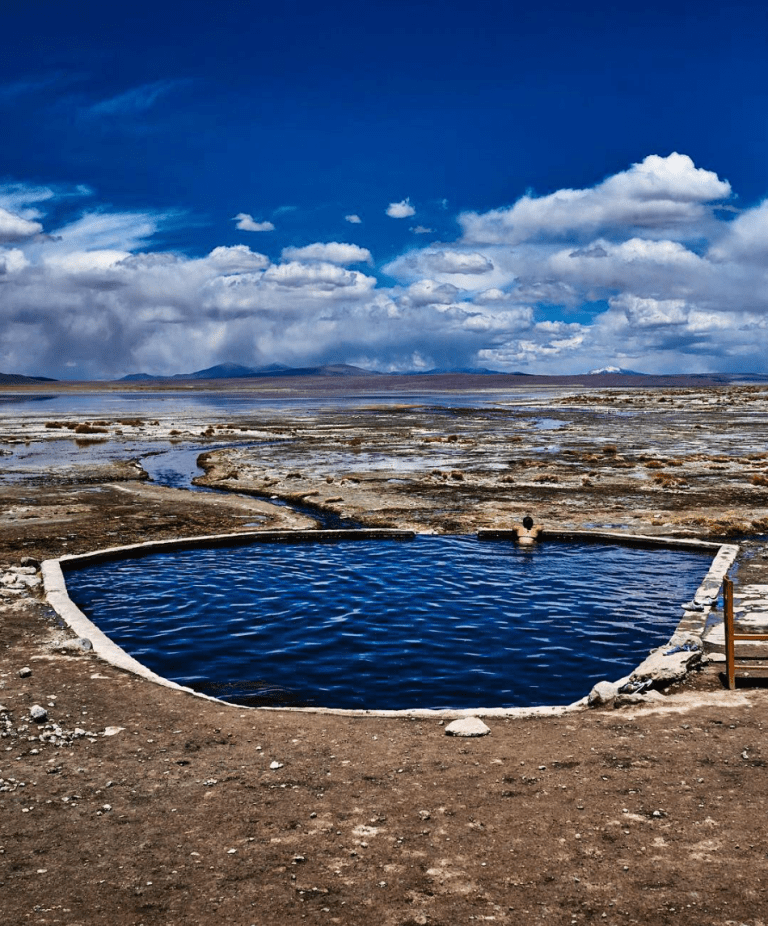 Screen Shot 2018-08-28 at 10.05.24 AM